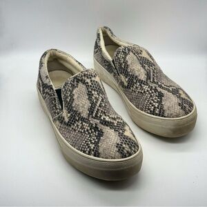Steve Madden Snakeskin Print Platform Slip On Sneakers